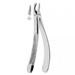 Extracting Forceps