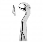 Extracting Forceps