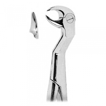 Extracting Forceps