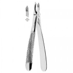 Extracting Forceps