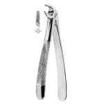 Extracting Forceps