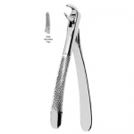Extracting Forceps