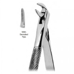 Extracting Forceps