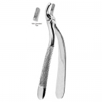 Extracting Forceps